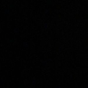 Meet your Posher, Lillie